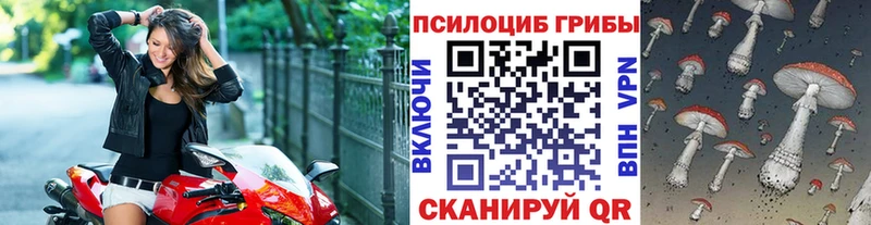 Псилоцибиновые грибы Psilocybine cubensis  Нижний Новгород 